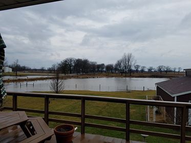 Flood